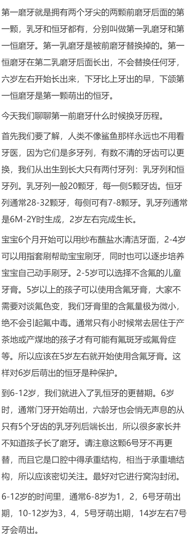 第一前磨牙什么时候换