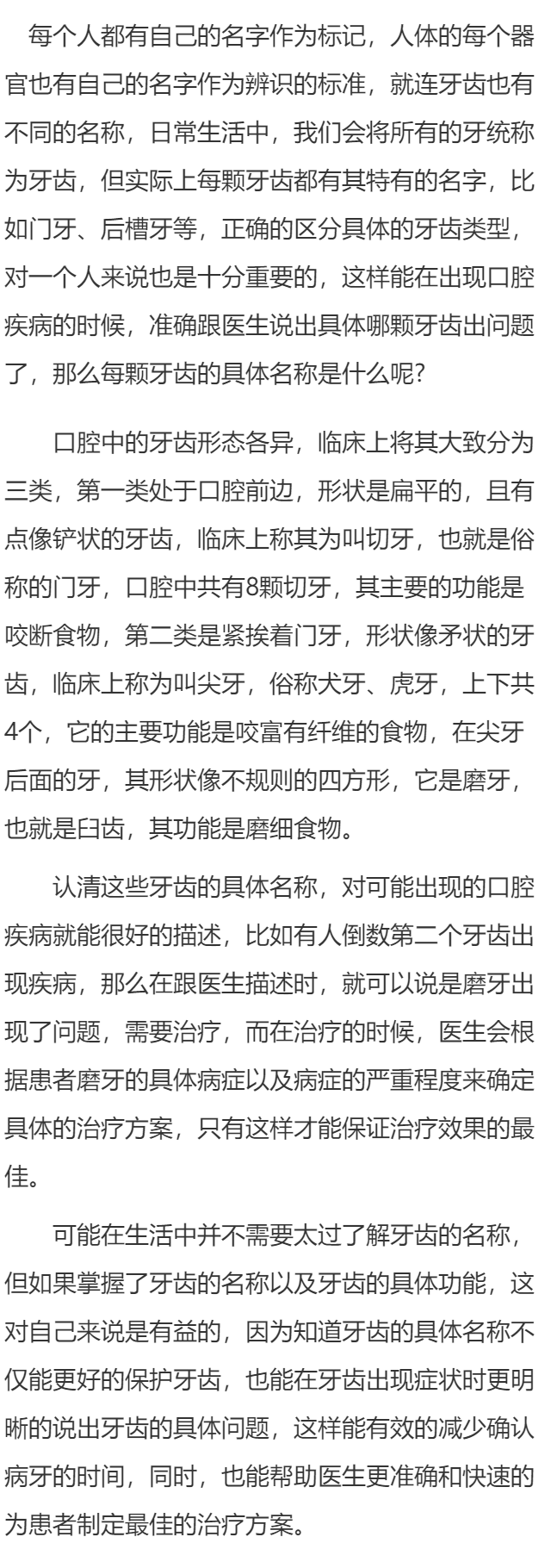 倒数第二个牙齿叫什么
