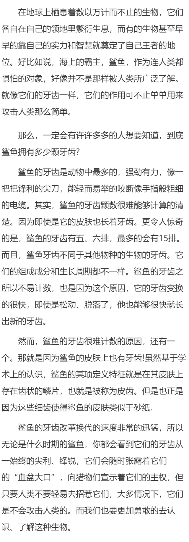 令人好奇的鲨鱼牙齿数量