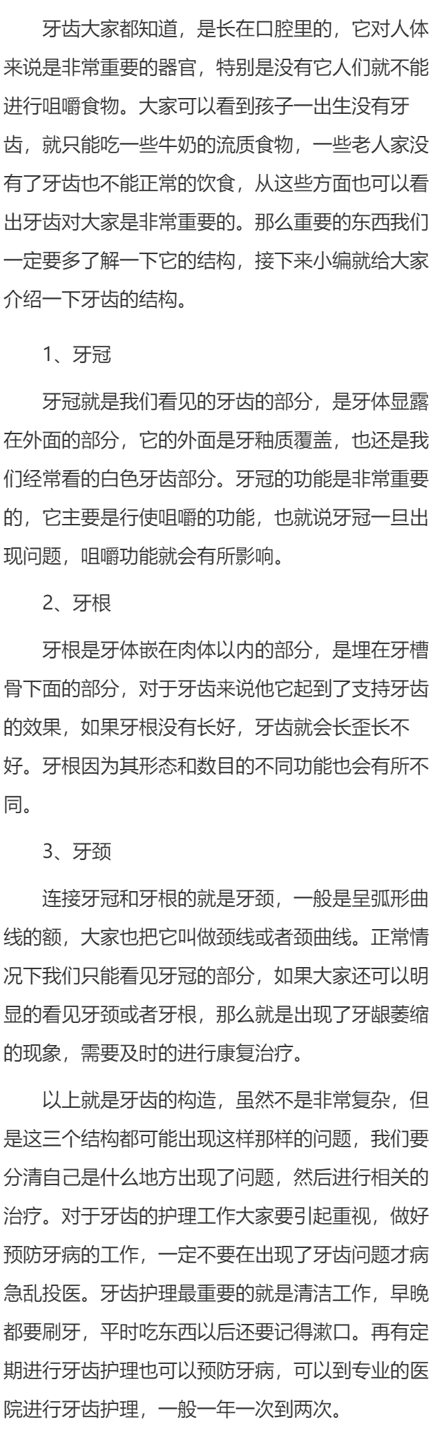 牙齿构造都包括哪些具体的内容